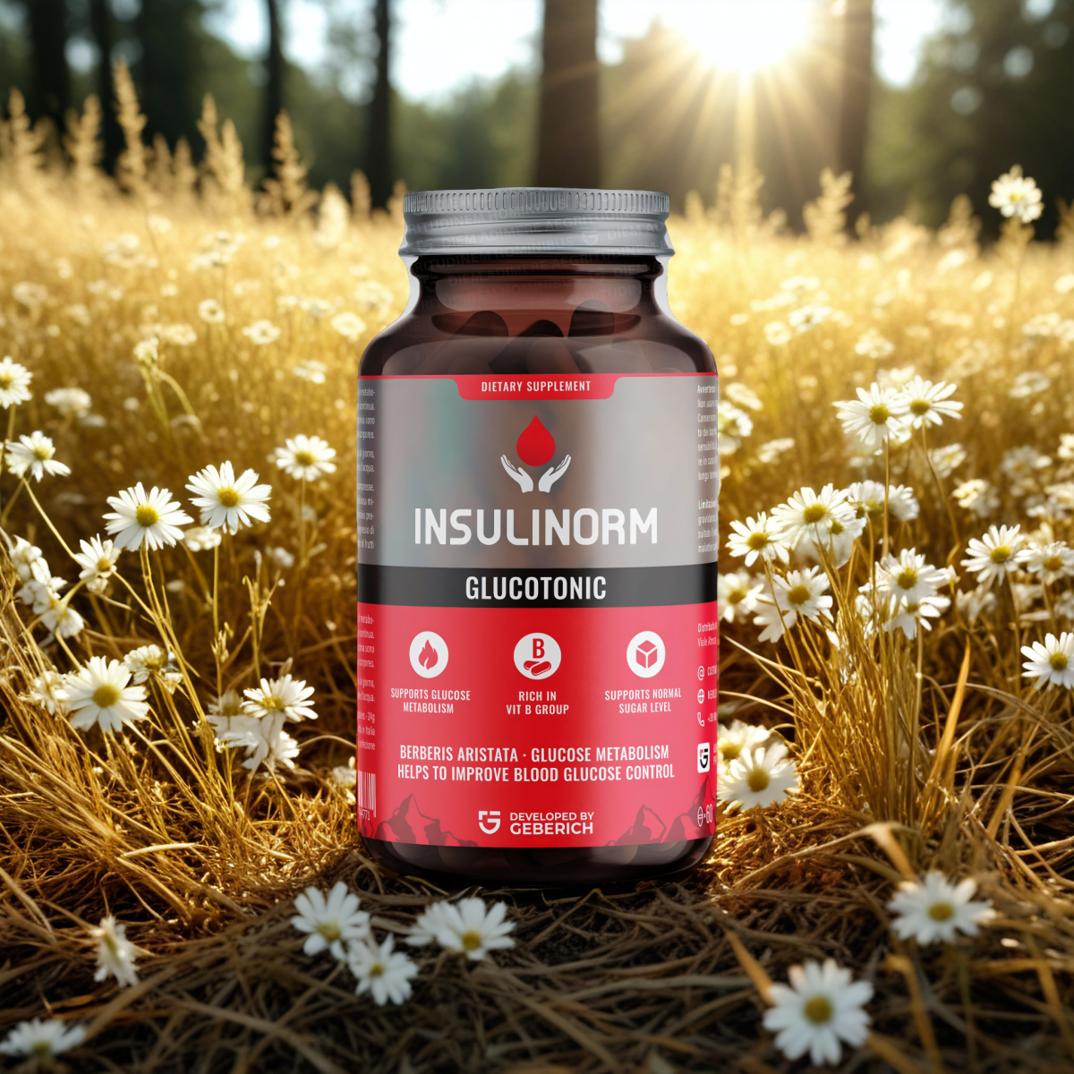 Insulinorm Dynamicrate