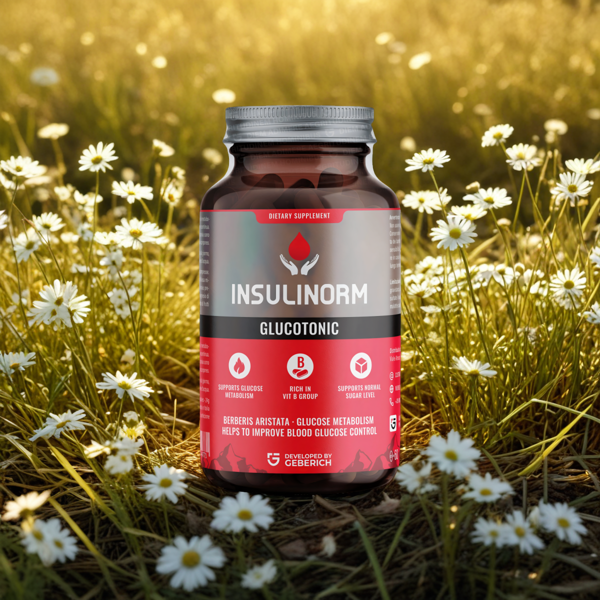 Insulinorm Revshare